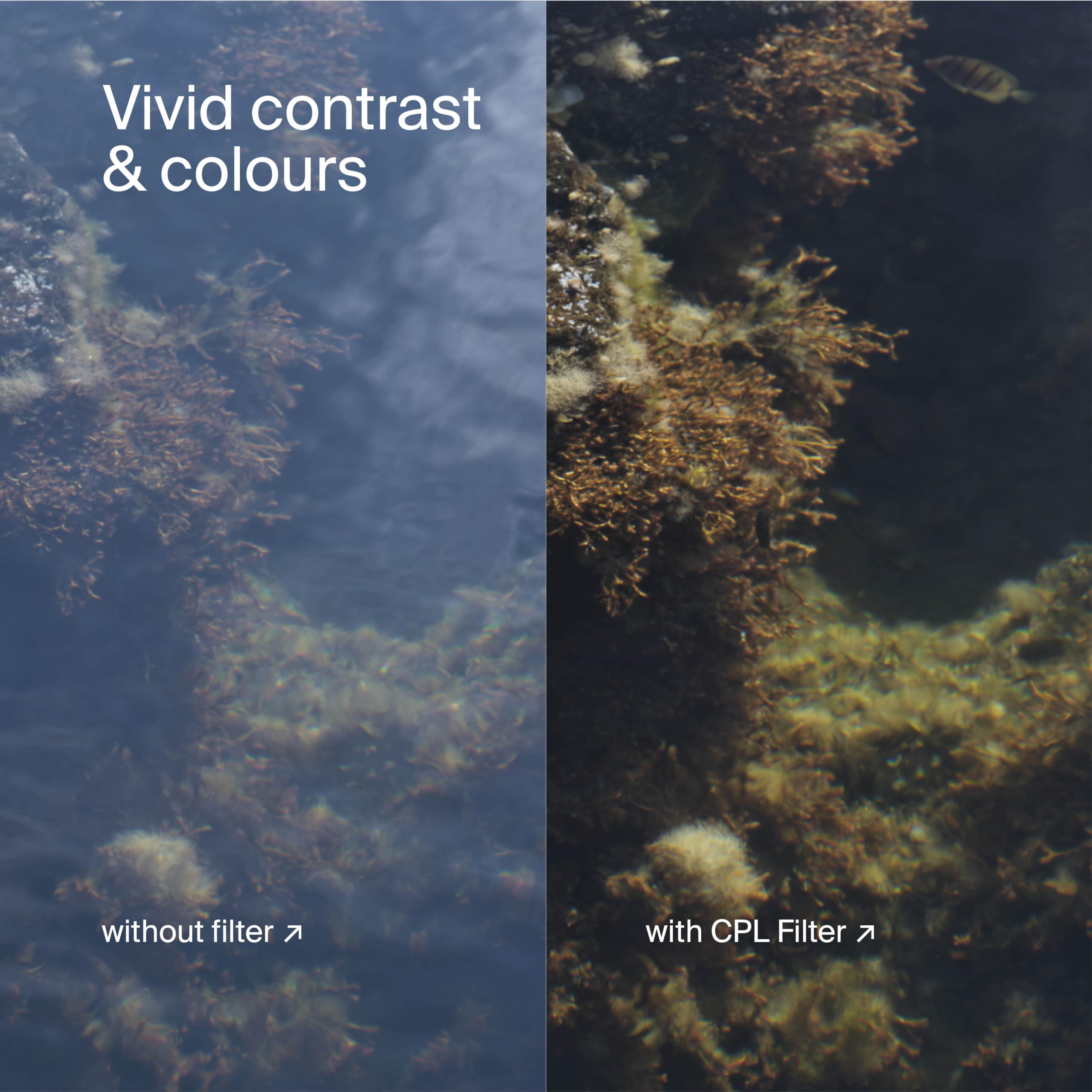 Urth 77mm UV, Circular Polarizing (CPL), ND8, ND1000 Lens Filter Kit (Plus+) - Image 7